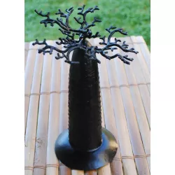 9162006 Baobab 24 cm