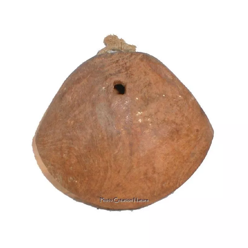 Cloche à chameau Borana 13170