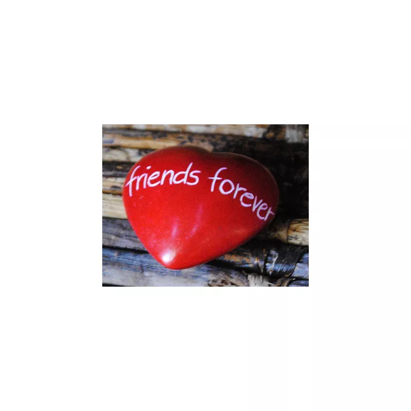 80361 Coeur pierre de Kisii "friends forever"